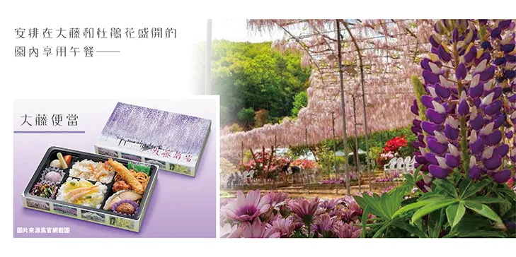 立山黑部雪牆奇景開山了!春遊賞花7日 行程說明（圖 13）