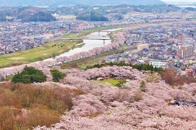 東北櫻花大集合．鐵道花見之旅9日 Day 5 飯店→「船岡城址公園」和「白石川堤」是宮城縣內唯一入選「櫻花名所100選」（圖 1）