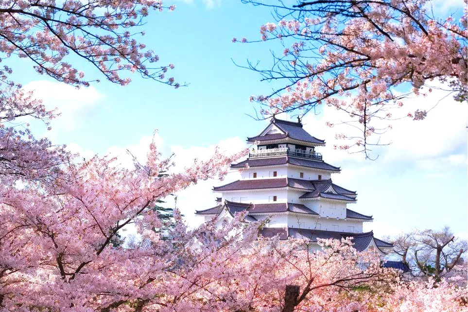 東北櫻花大集合．鐵道花見之旅9日 行程說明（圖 7）