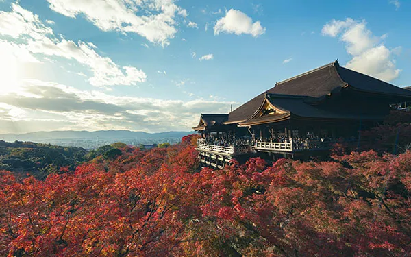 走進關西秘境.秋季楓紅與海之京都7日