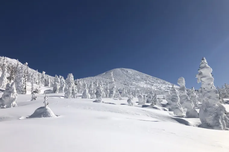 雙樹冰夢幻登場!日本東北雪國7日