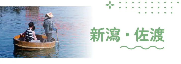 搭櫻花列車追春天‧秩父新潟佐渡8日 行程說明（圖 17）
