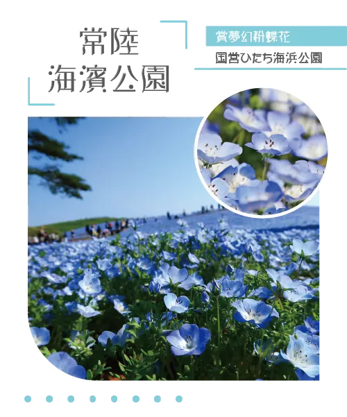 真野公園