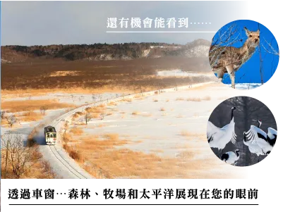 野付半島冬景