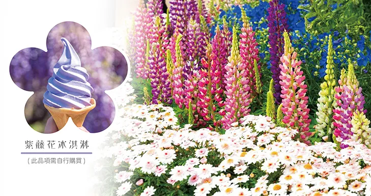 立山黑部雪牆奇景開山了!春遊賞花7日 行程說明（圖 11）