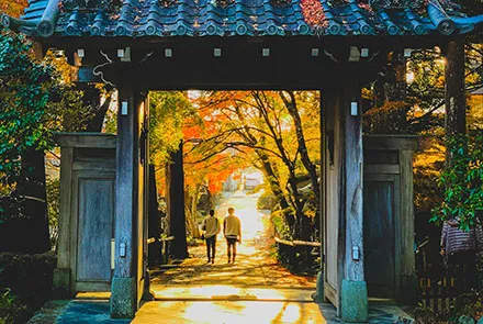 6人包團