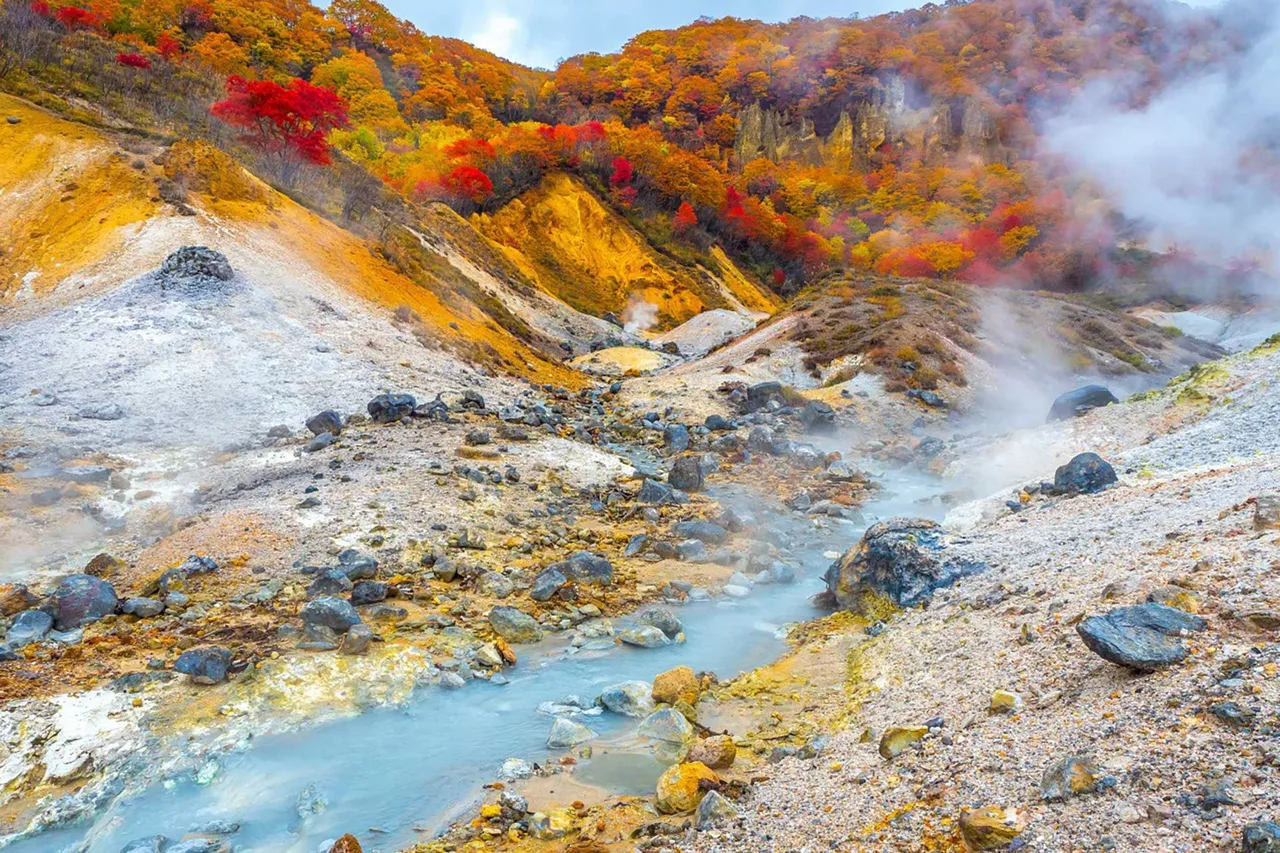 北海道紅葉季賞楓之旅8日