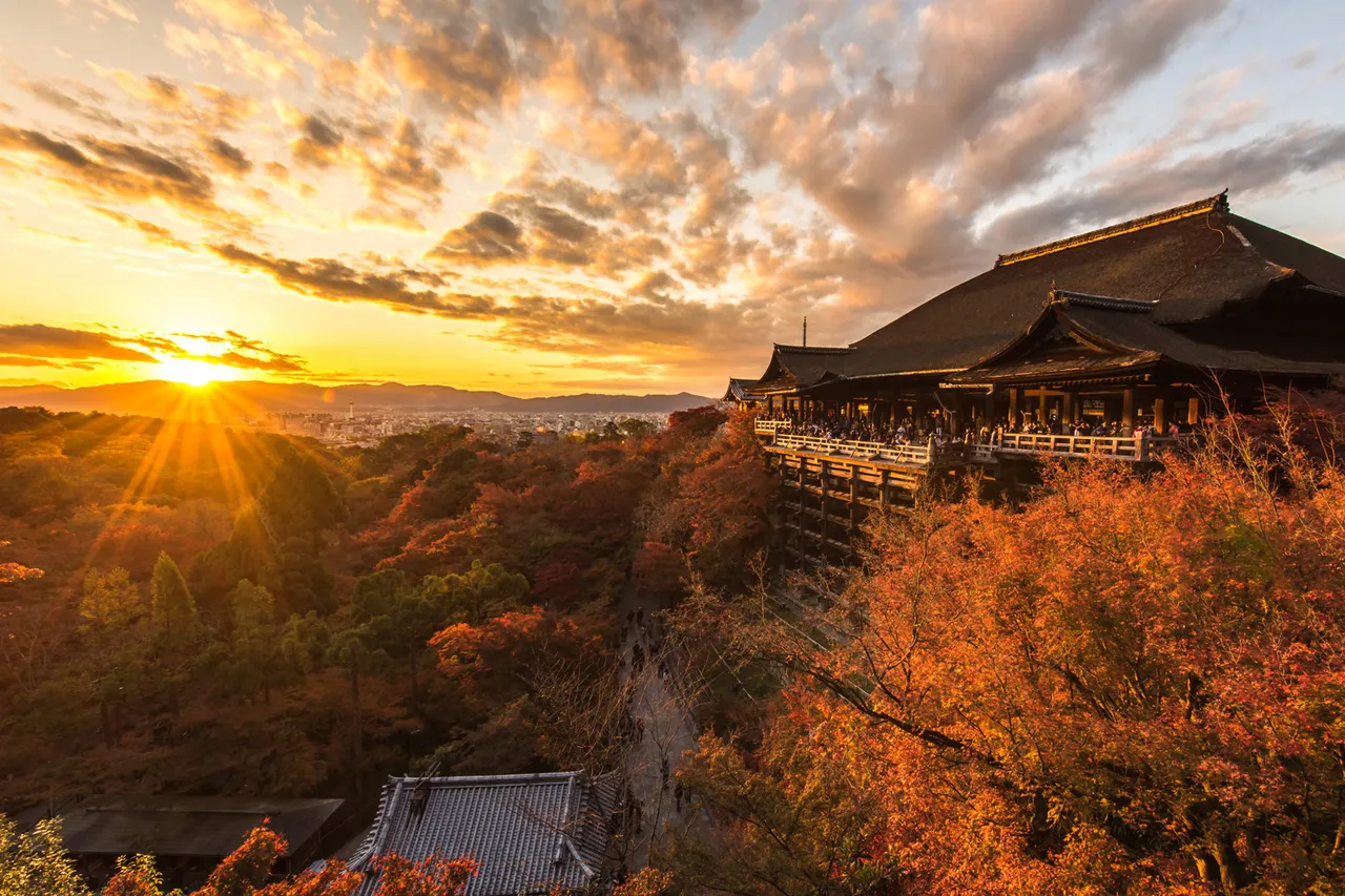 走進關西秘境．秋季楓紅與海之京都7日