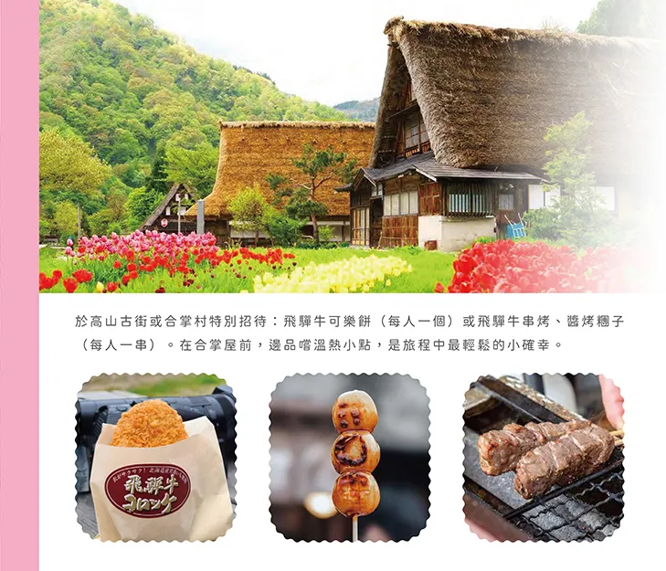 立山黑部雪牆奇景開山了!春遊賞花7日 行程說明（圖 30）