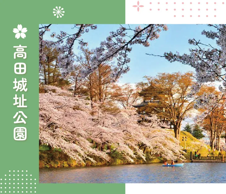 搭櫻花列車追春天‧秩父新潟佐渡8日 行程說明（圖 8）