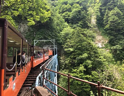 立山黑部．新潟佐渡．上高地 賞景7日