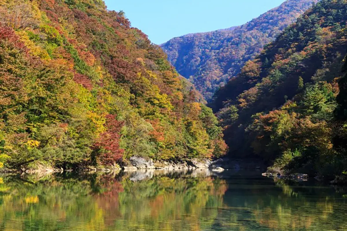 日本東北全覽溫泉賞楓10日