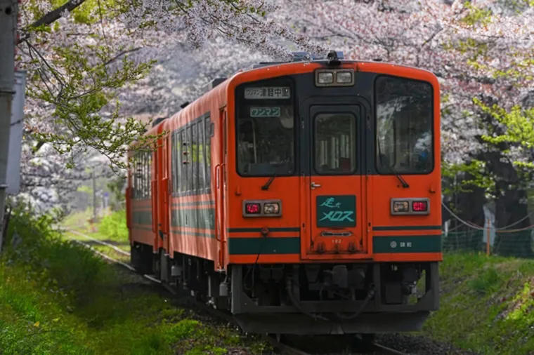 東北櫻花大集合．鐵道花見之旅9日 行程說明（圖 8）