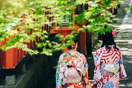 4人包團