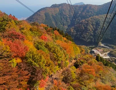 三鐵道觀光列車 暢遊九州7日