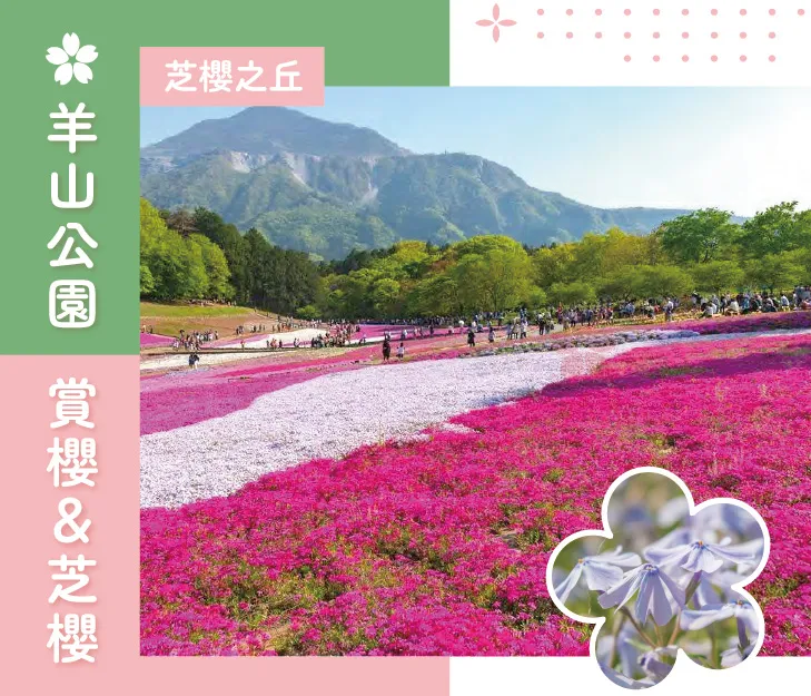 搭櫻花列車追春天‧秩父新潟佐渡8日 行程說明（圖 4）