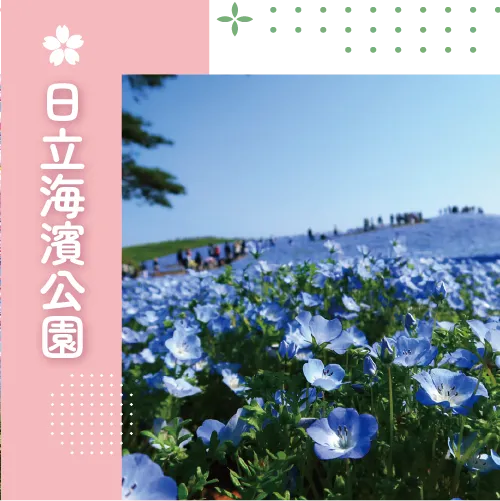 船津公園