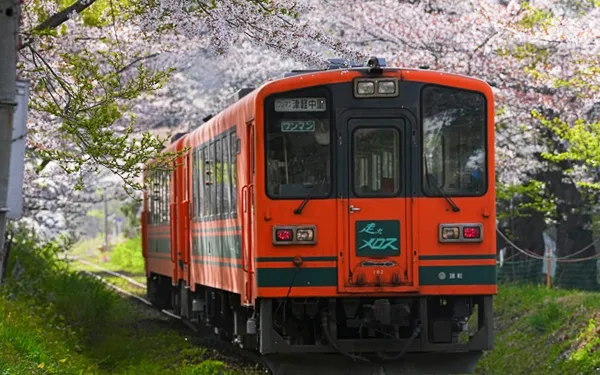 東北櫻花大集合‧鐵道花見之旅9日