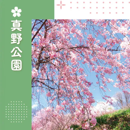 真野公園