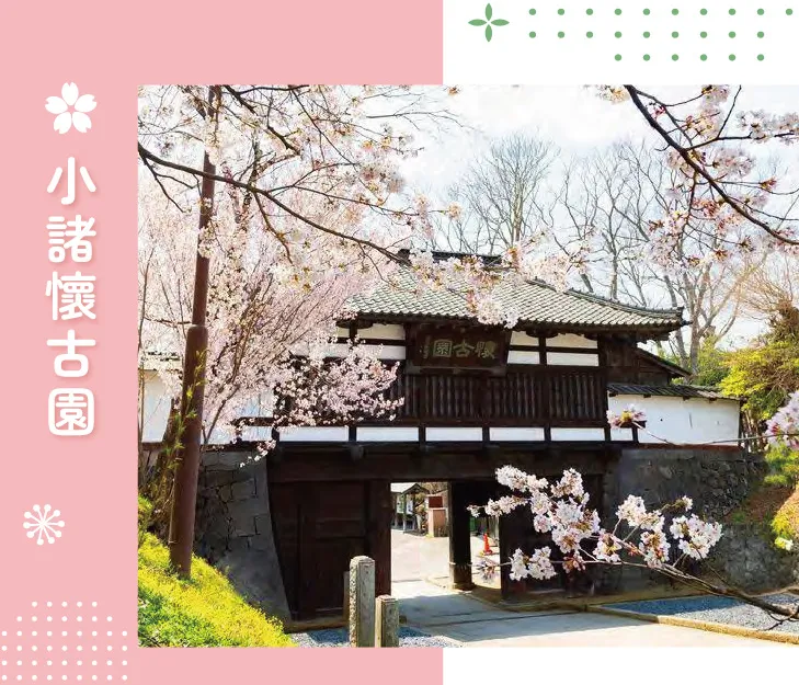 搭櫻花列車追春天‧秩父新潟佐渡8日 行程說明（圖 6）