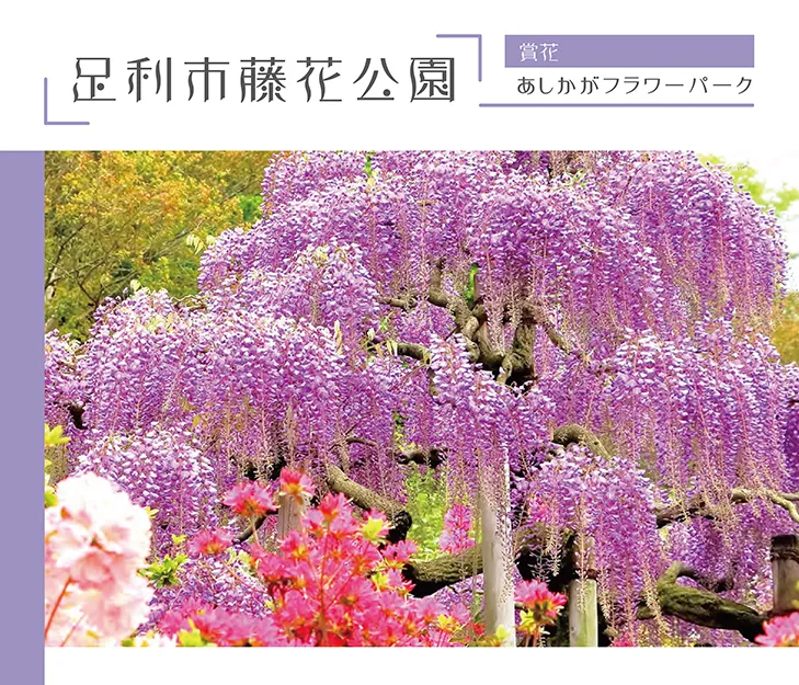 立山黑部雪牆奇景開山了!春遊賞花7日 行程說明（圖 10）
