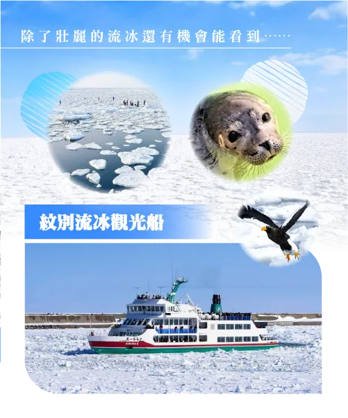 Garinko號 2