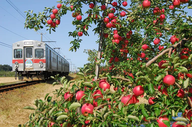 東北櫻花大集合．鐵道花見之旅9日 行程說明（圖 10）