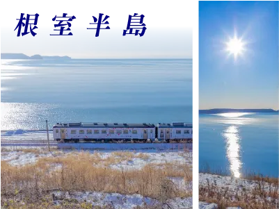 網走流冰體驗